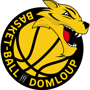 DOMLOUP SPORTS